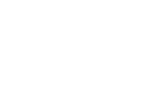 Chartered Accountant logo